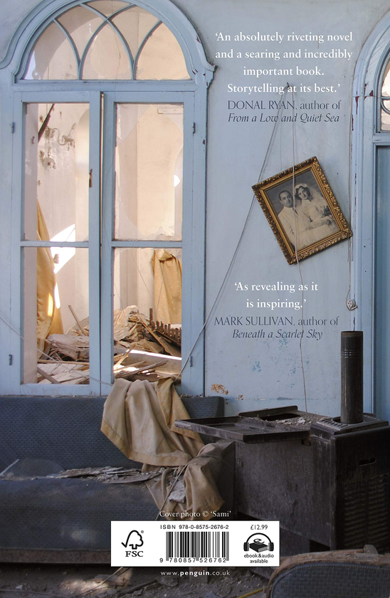 Бумажная книга «The Stray Cats of Homs», автор Ева Нур - фото №1