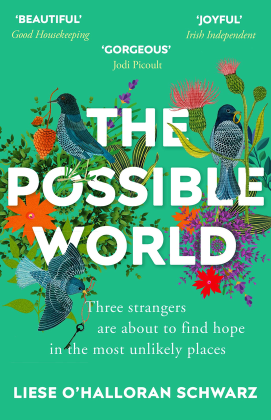 Бумажная книга «The Possible World», автор Лизе О'Халлоран Шварц - фото №1