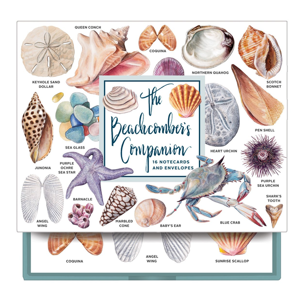 Бумажная книга «Beachcomber's Companion Greeting Assortment Boxed Notecards» - фото №1
