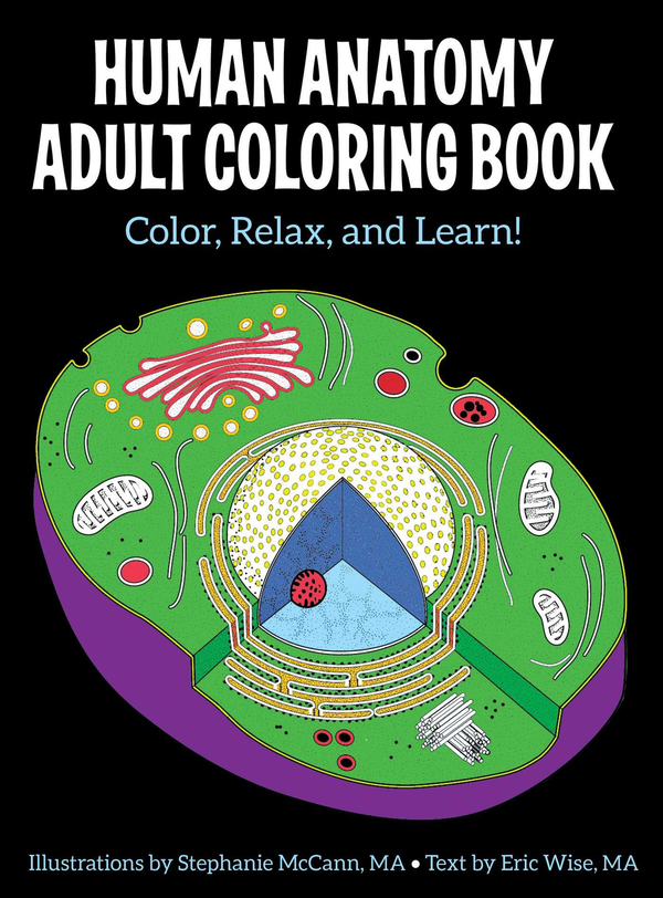 Бумажная книга «Human Anatomy Adult Coloring Book», автор Эрик Уайз - фото №1