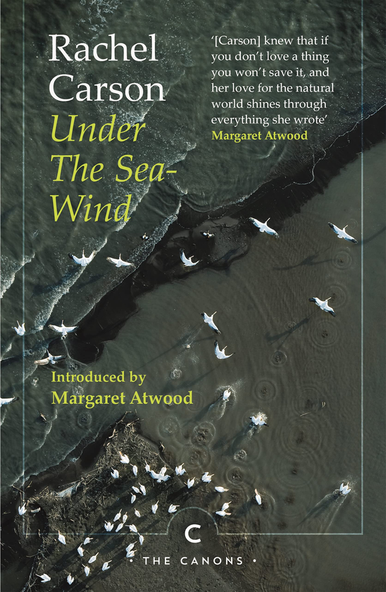 Паперова книга «Under the Sea-Wind», автор Рейчел Карсон - фото №1