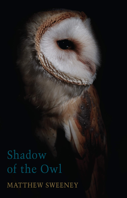 Бумажная книга «Shadow Of The Owl», автор Мэттью Суини - фото №1