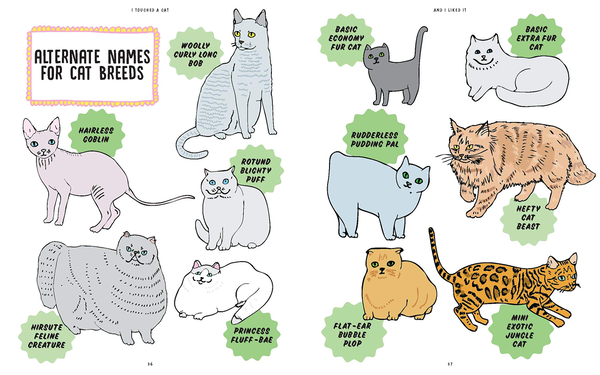 Паперова книга «I Touched a Cat and I Liked it», автор Анна Бландфорд - фото №1