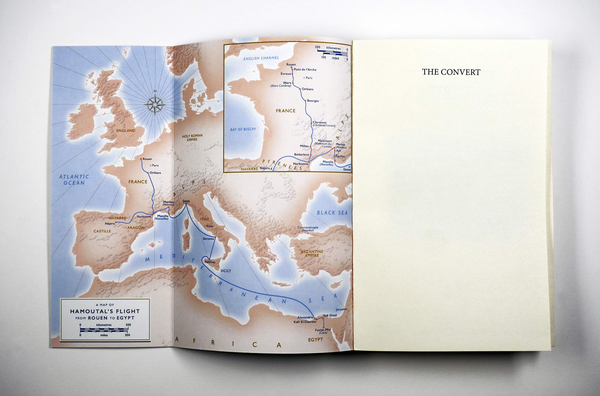 Бумажная книга «The Convert», автор Стефан Гертманс - фото №1