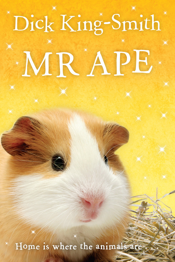 Паперова книга «Mr Ape», автор Дік Кінг-Сміт - фото №1