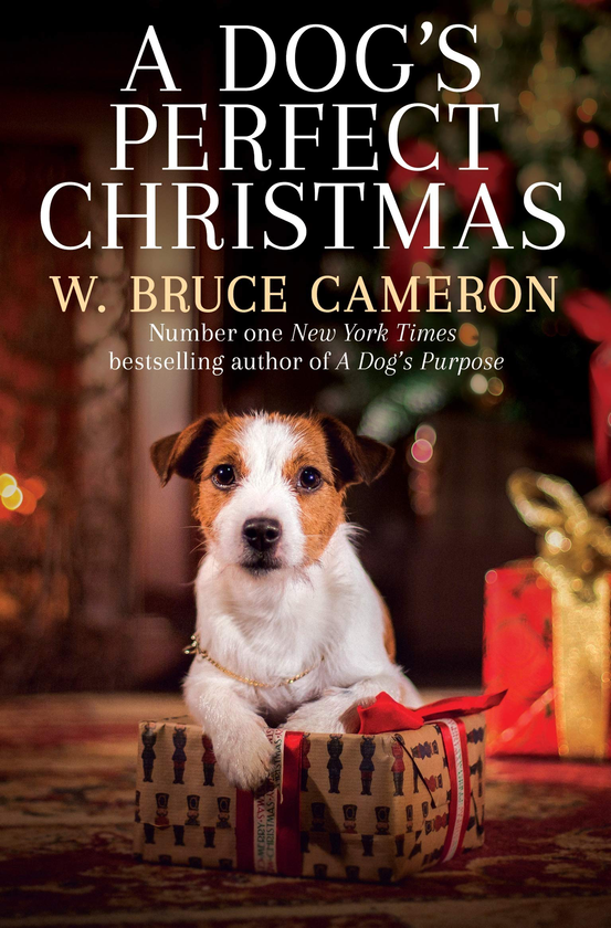 Бумажная книга «A Dog's Perfect Christmas», автор У. Брюс Камерон - фото №1