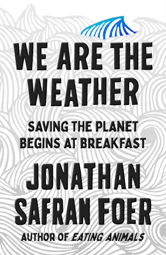 Паперова книга «We Are the Weather. Saving the Planet Begins at Breakfast», автор Джонатан Сафран Фоер - фото №1
