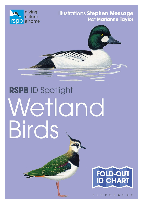 Бумажная книга «RSPB ID Spotlight. Wetland Birds», автор Марианна Тейлор - фото №1