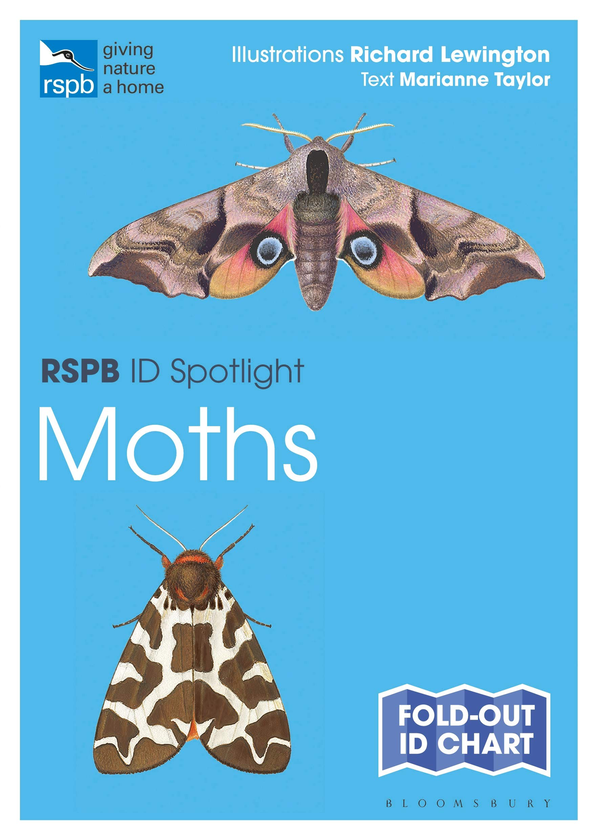 Бумажная книга «RSPB ID Spotlight - Moths», автор Марианна Тейлор - фото №1