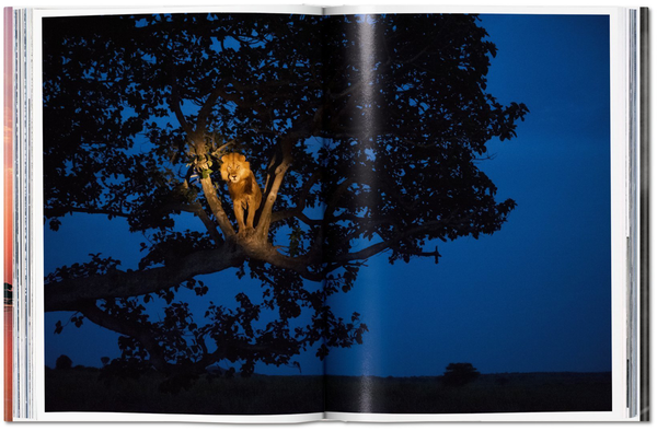 Бумажная книга «National Geographic. Around the World in 125 Years. Africa», автор Джо Йогерст - фото №1