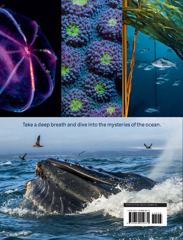 Бумажная книга «Blue Planet II», авторов Джеймс Ханиборн, Марк Браунлоу - фото №1