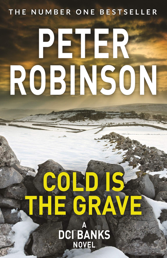 Паперова книга «Cold is the Grave», автор Пітер Робінсон - фото №1