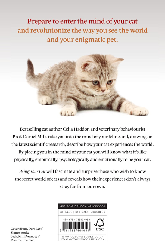 Паперова книга «Being Your Cat», авторів Селія Хеддон, Деніел Міллс - фото №1