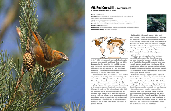 Бумажная книга «100 Birds to See in Your Lifetime: The Ultimate Wish-list for Birders Everywhere», автор Дэвид Чандлер - фото №1
