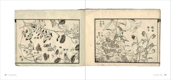 Бумажная книга «Hokusai's Lost Manga», автор Сара Томпсон - фото №1