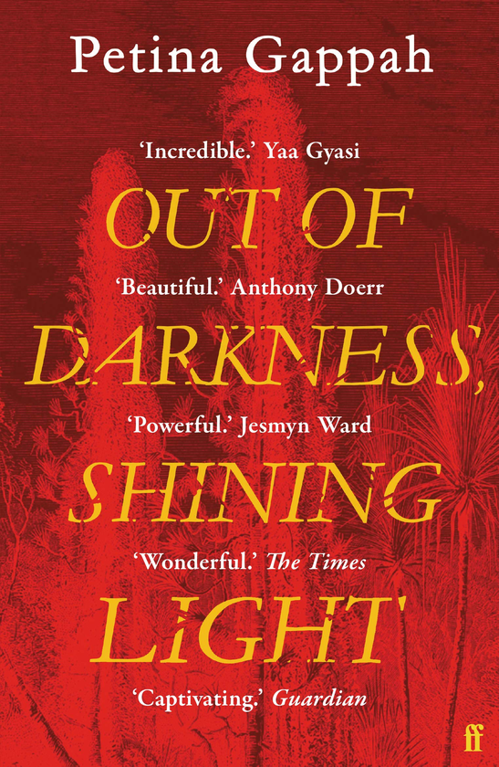 Бумажная книга «Out of Darkness, Shining Light», автор Петина Гаппах - фото №1