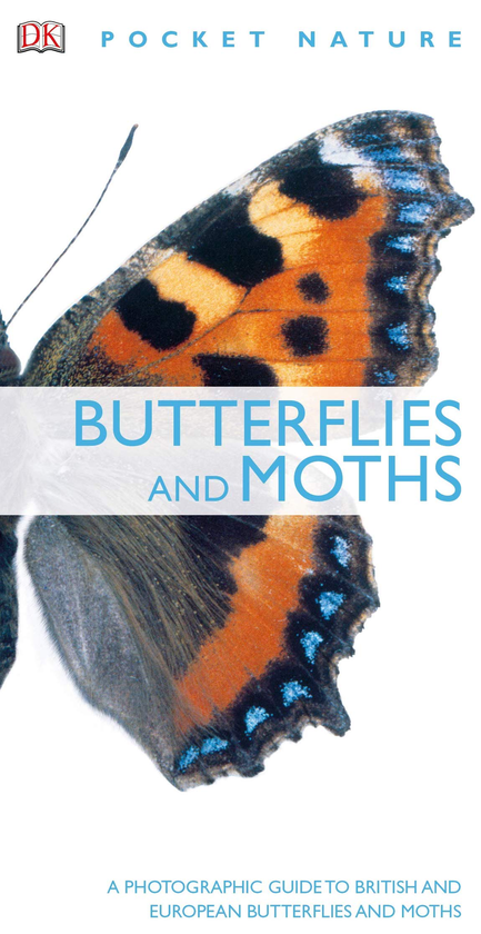 Бумажная книга «Butterflies and Moths. A Photographic Guide to British and European Butterflies and Moths», авторов Пол Стерри, Эндрю Маккей - фото №1