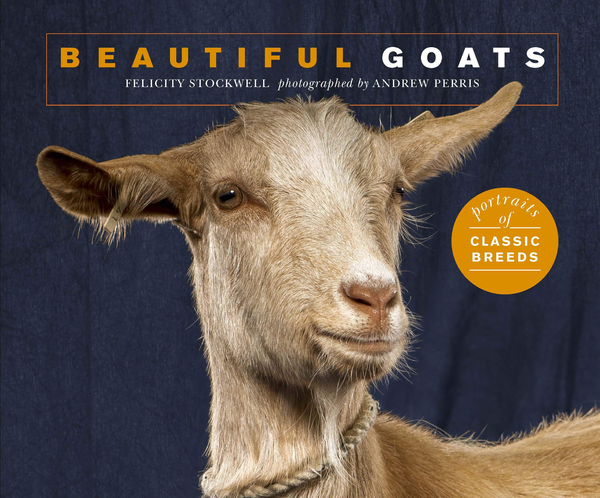 Паперова книга «Beautiful Goats», автор Фелісіті Стокуелл - фото №1