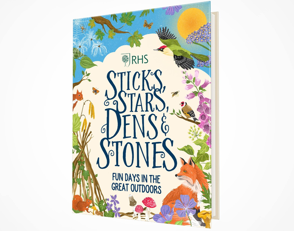 Бумажная книга «Sticks, Stars, Dens and Stones. Fun Days in the Great Outdoors», автор Эмиль Форчун - фото №1