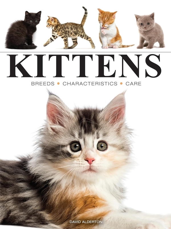 Бумажная книга «Kittens», автор Дэвид Олдертон - фото №1