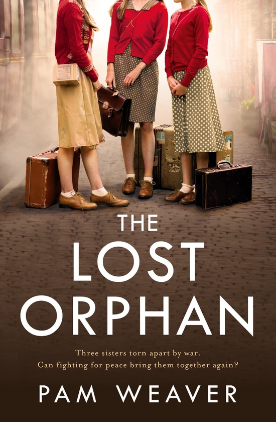 Паперова книга «The Lost Orphan», автор Пем Вівер - фото №1