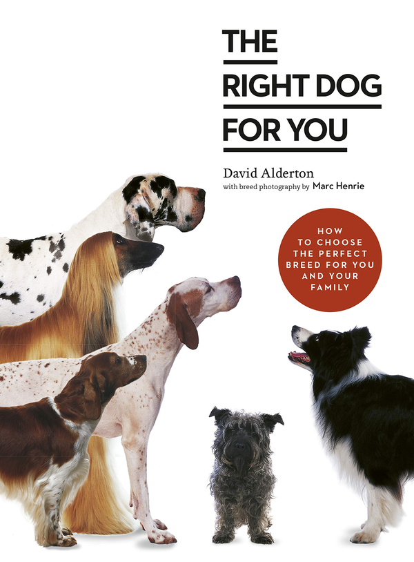 [object Object] «The Right Dog for You. How to choose the perfect breed for you and your family», автор Девід Олдертон - фото №1