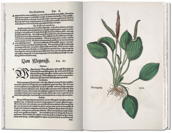 Бумажная книга «Leonhart Fuchs: The New Herbal of 1543», автор Вернер Дрессендорфен - фото №1