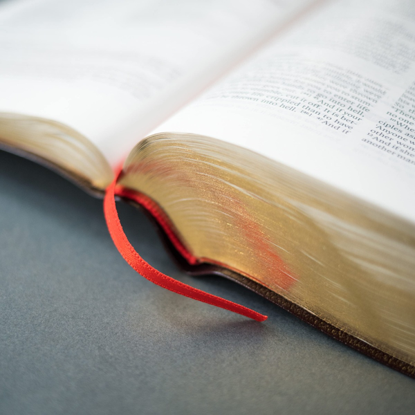 Бумажная книга «NIV Bible in One Year with Commentary by Nicky and Pippa Gumbel», автор Ники Гамбель - фото №1