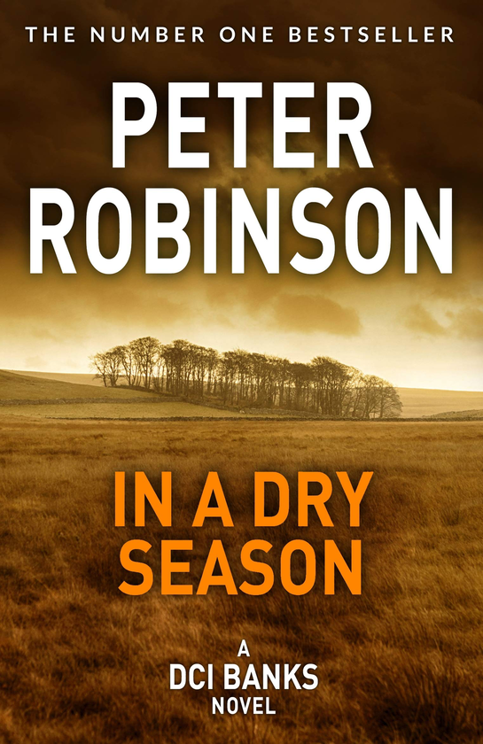 Бумажная книга «In A Dry Season», автор Питер Робинсон - фото №1