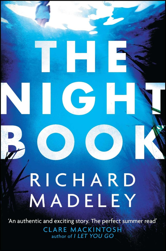 Паперова книга «The Night Book», автор Річард Маделі - фото №1