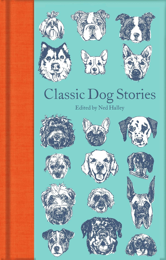 Бумажная книга «Classic Dog Stories» - фото №1