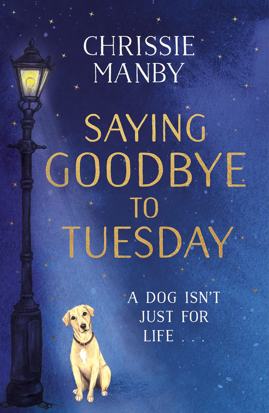 Бумажная книга « Saying Goodbye to Tuesday », автор Крисси Мэнби - фото №1