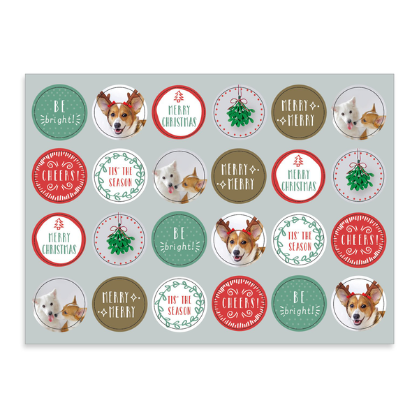 Бумажная книга «Festive Furry Friends Deluxe Notecard Collection» - фото №1