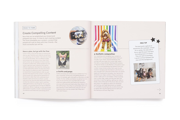Бумажная книга «How To Make Your Dog #Famous. A Guide to Social Media and Beyond», автор Лони Эдвардс - фото №1