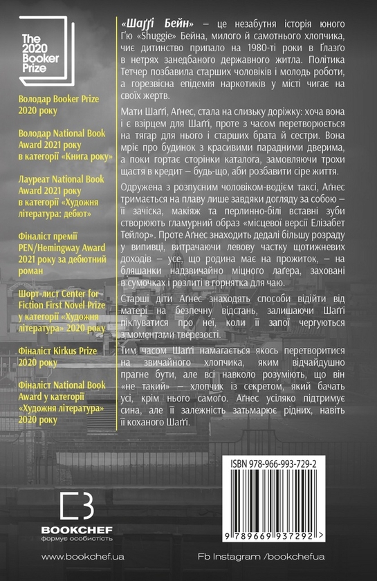 Паперова книга «Шаґґі Бейн - Уцінка», автор Дуглас Стюарт - фото №1