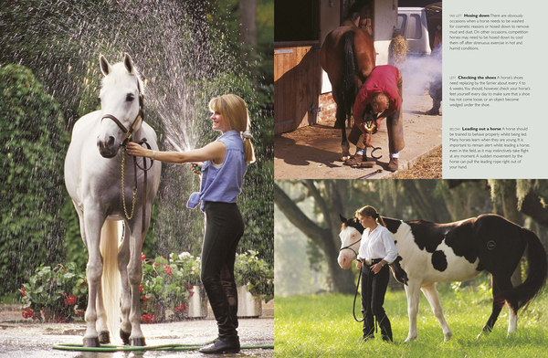 Бумажная книга «Complete Horse Care Manual», автор Вогел Колин - фото №1