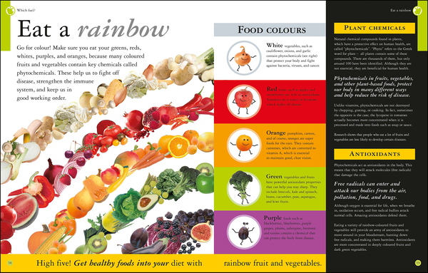 Бумажная книга «Are You What You Eat?» - фото №1