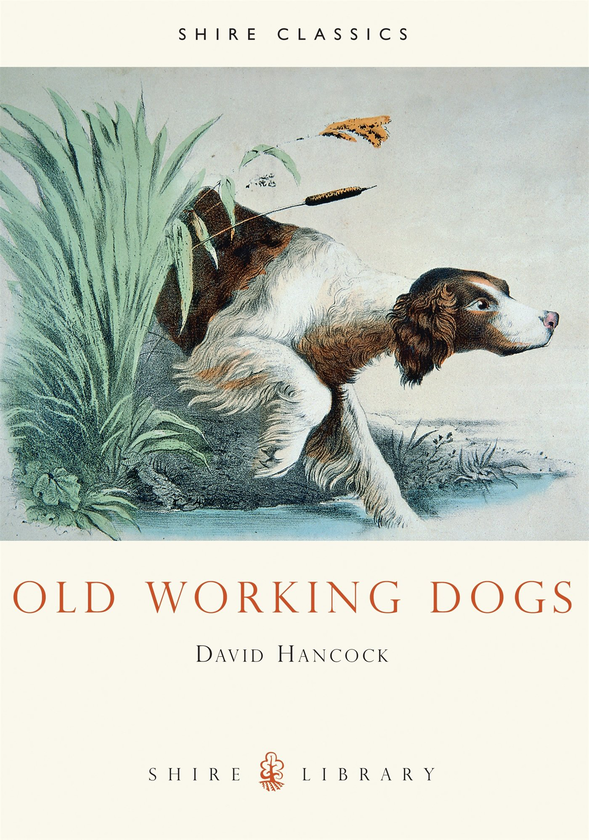 Паперова книга «Old Working Dogs», автор Девід Хенкок - фото №1