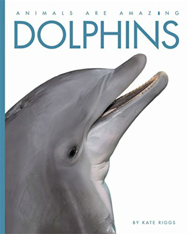 Паперова книга «Animals Are Amazing. Dolphins», автор Кейт Ріггс - фото №1