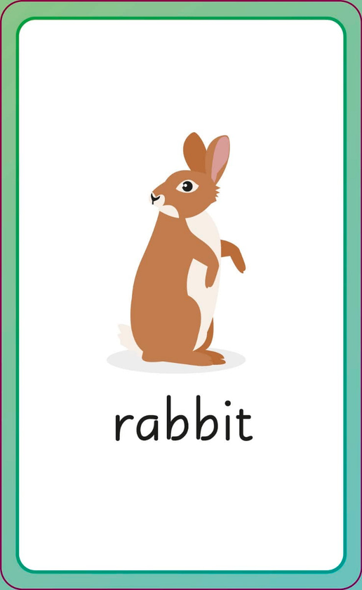 Бумажная книга «English for Everyone Junior: First Words Animals Flash Cards» - фото №1