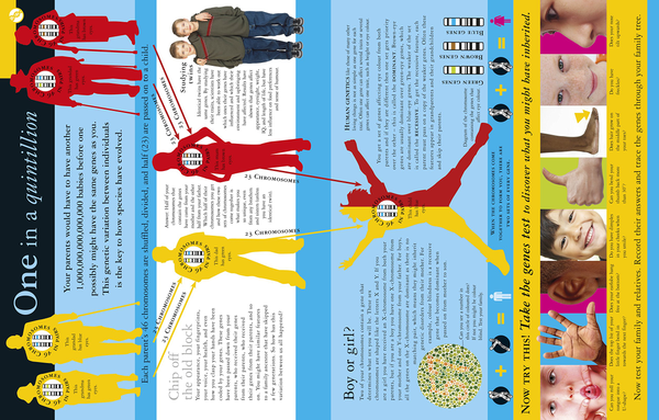 Бумажная книга «All About Evolution», автор Роберт Винстон - фото №1