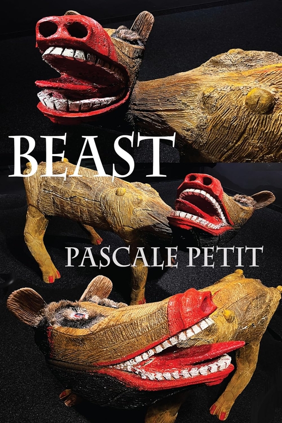Паперова книга «Beast», автор Паскаль Петі - фото №1