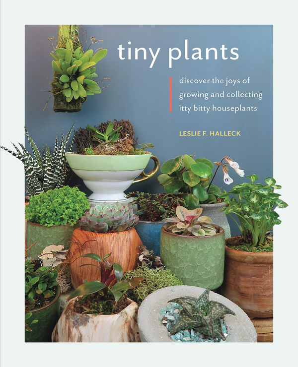 Бумажная книга «Tiny Plants. Discover the joys of growing and collecting itty-bitty houseplants», автор Лесли Ф. Халлек - фото №1