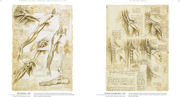 Бумажная книга «Leonardo Da Vinci Drawings», автор Сьюзен Грандж - фото №1