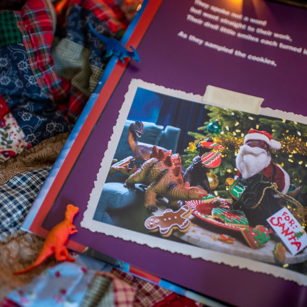 Бумажная книга «What the Dinosaurs Did the Night Before Christmas», авторов Рефе Тума, Сьюзен Тума - фото №1