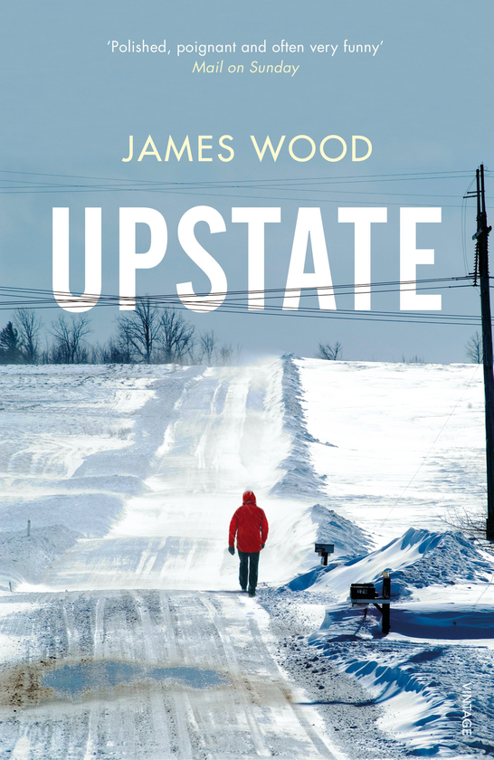 Бумажная книга «Upstate», автор Джеймс Вуд - фото №1