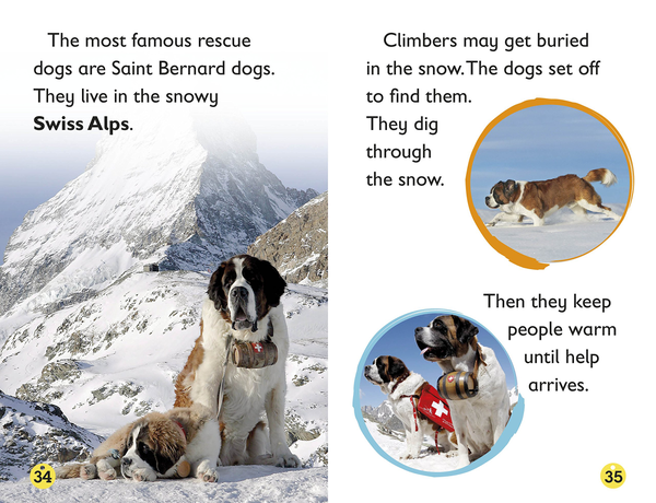 Паперова книга «Amazing Dogs. Tales of Daring Dogs!», автор Лора Буллер - фото №1