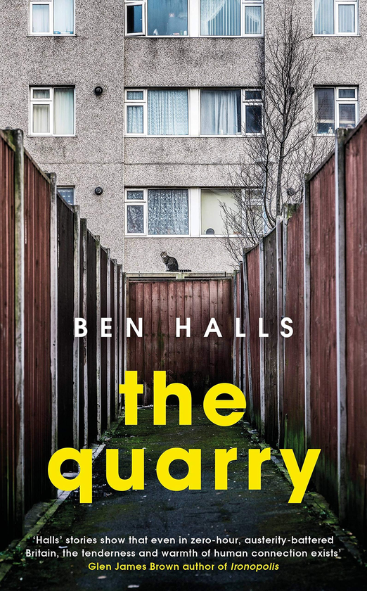Бумажная книга «The Quarry», автор Бен Холлс - фото №1