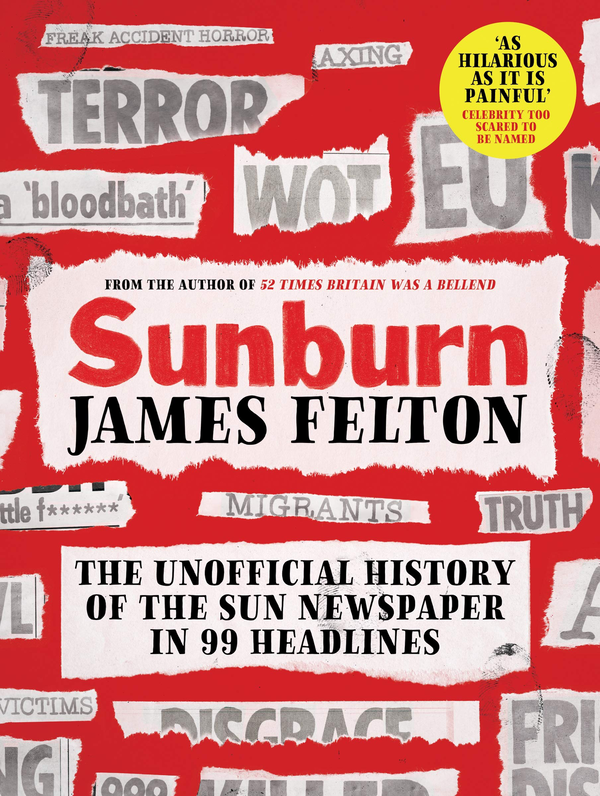 Паперова книга «Sunburn», автор Джеймс Фелтон - фото №1