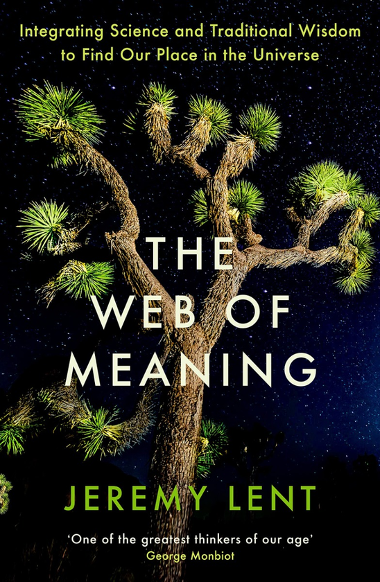 Бумажная книга «The Web of Meaning. Integrating Science and Traditional Wisdom to Find Our Place in the Universe», автор Джереми Лент - фото №1